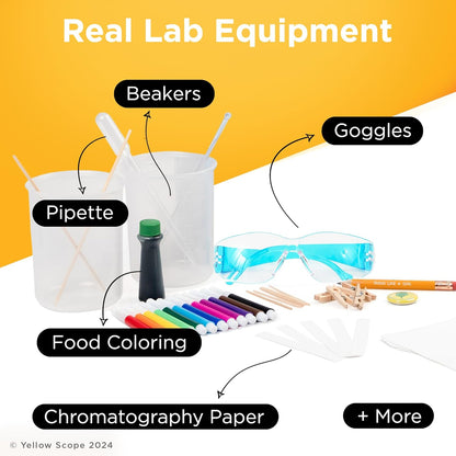 Science Kit - Art & Science of Color Paper Chromatography Kit, Reveal Hidden Colors