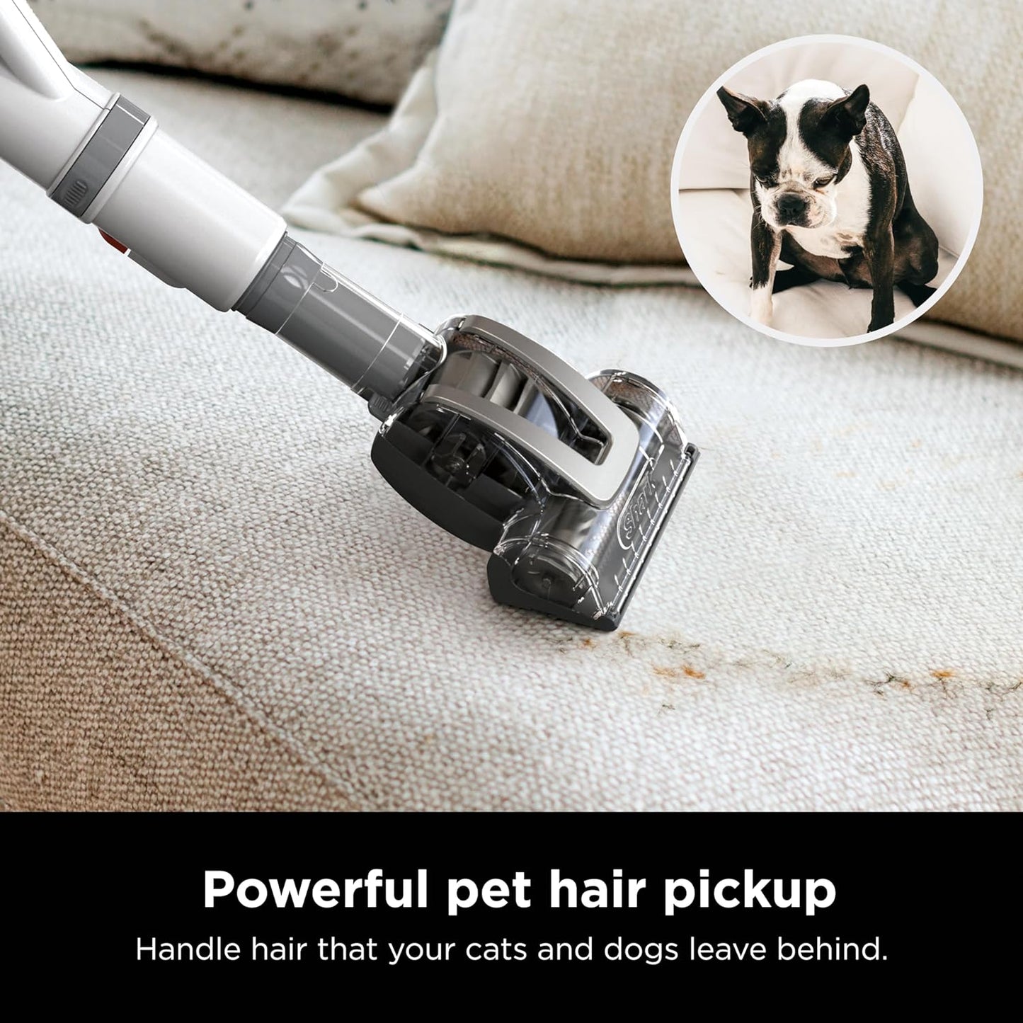 Navigator Lift-Away Professional Upright Vacuum with Swivel Steering, HEPA Filter, XL Dust Cup, Pet Power, Dusting Brush, and Crevice Tool, Perfect for Pet Hair, White/Silver