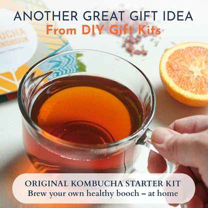 5 Galones Kombucha Starter Kit